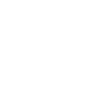 Joolz